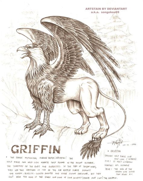 griffin by artstain.deviantart.com on @DeviantArt Griffin Harry Potter, Griffin Meaning, Harry Potter Creatures Drawing, Griffon Aesthetic, Mythological Creatures Drawings, Griffin Mythology, Griffin Animal, Griffin Aesthetic, Mythical Griffin