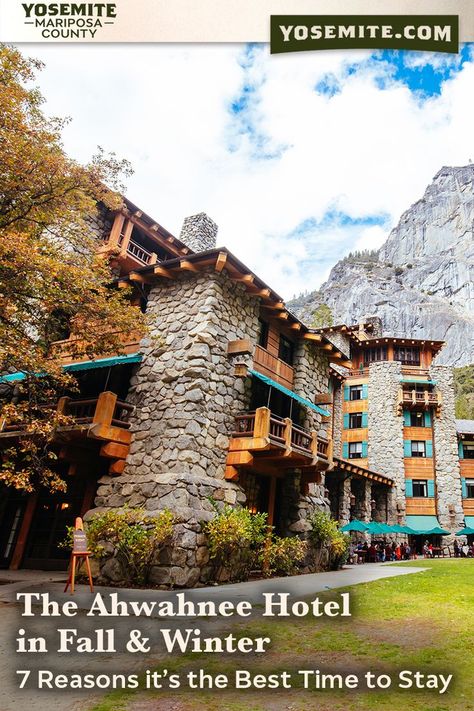 Though there are lots of reasons to stay at The Ahwahnee hotel in any season, the unparalleled beauty and serenity of late fall through early spring enhance the experience. Here are our top 7 reasons to choose fall and winter for your stay at The Ahwahnee Hotel. ... #yosemite #yosemitenationalpark #yosemitevalley #yosemitenation #yosemitenp #yosemite_national_park #yosemitenps #yosemitepark #californialove #california #californialove #mariposa #mariposacounty #nationalpark #national_park Ahwahnee Hotel Yosemite, Ahwahnee Hotel, Destination Wedding Reception, Reasons To Stay, Yosemite Park, Wine Event, Yosemite Falls, Yosemite Valley, Big Leaves