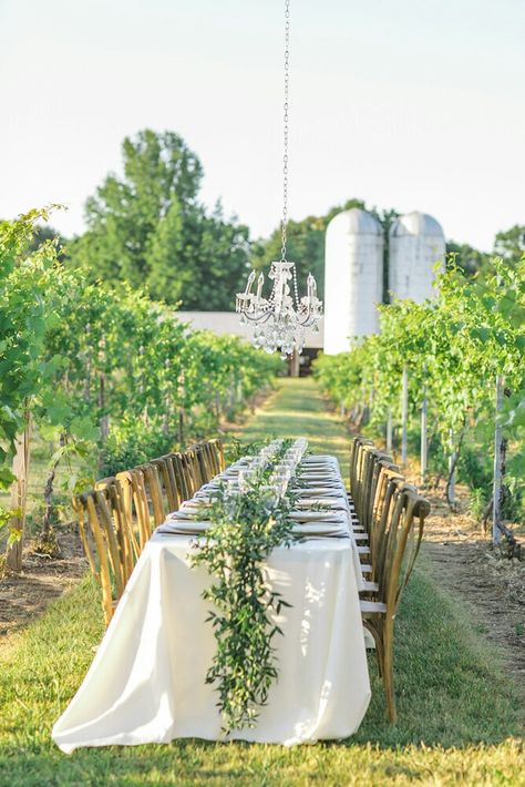 Crown Winery Humboldt Weddings Memphis Wedding Venues 38343 Memphis Wedding, Wedding Reception Locations, Tennessee Wedding, Future Wedding, Tennessee, Wedding Reception, Wedding Venues, Crown, Weddings