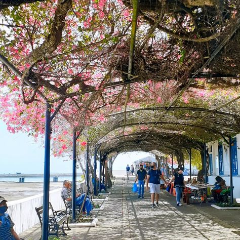 Family Life, Puerto Rico, Panama, Arch, Bridge, Street View, Collage, Tumblr, Travel