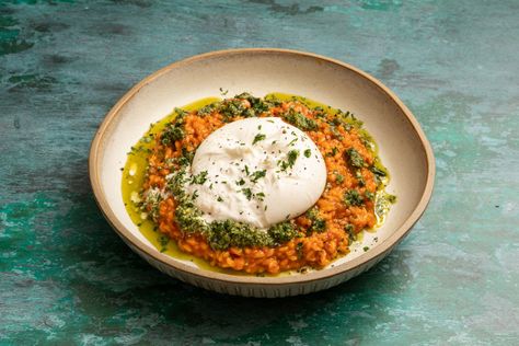 Tomato Risotto with Sage and Walnut Pesto, Fennel Seeds and Burrata Recipe Olive Salsa, Scotch Eggs Recipe, Burrata Recipe, Tomato Risotto, Seed Recipes, Walnut Pesto, Great British Chefs, Chickpea Stew, Broad Bean