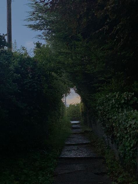 a staircase surrounded by green treees Secret Spot Aesthetic, Secret Garden Aesthetic Night, Night Garden Aesthetic, Path Aesthetic, Desired Path, Life Path 4, Natures Path, Brick Path, Personal Investigation