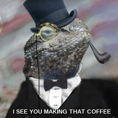 LIZARDCOFFEE.gif (400×400) Lizard Squad, Driving Humor, Ford Bronco Ii, Indie Games, Rest In Peace, Christmas Pictures, Range Rover, How To Look Pretty, Xbox