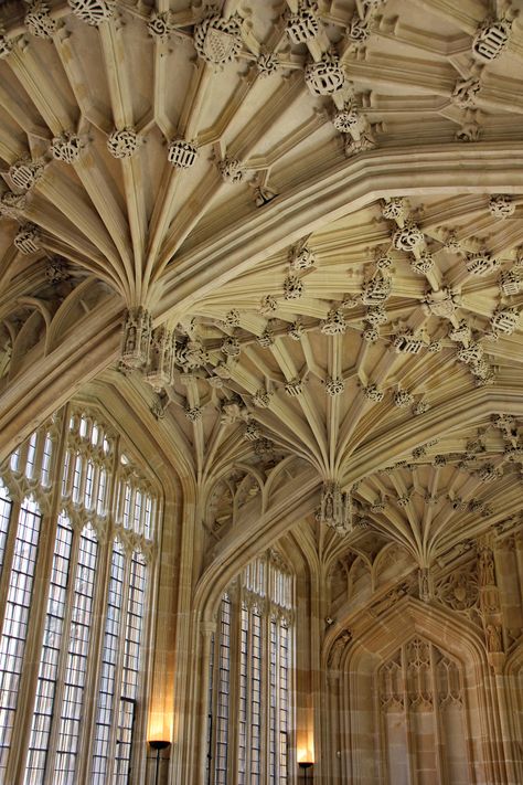 Library Oxford, Bodleian Library, Beautiful Library, Oxford England, A Discovery Of Witches, Cornwall England, Structure Architecture, Yorkshire England, England And Scotland