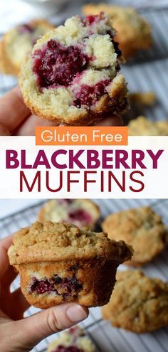 Gluten Free Berry Muffins, Gluten Free Blackberry Muffins, Gluten Free Blackberry Recipes, Paleo Muffins Coconut Flour, Gf Breakfast Muffins, Celiac Breakfast, Gluten Free Muffins Recipes, Gluten Free Muffins Healthy, Gluten Free Breakfast Muffins