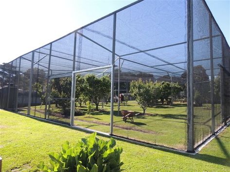 Bird Netting For Fruit Trees, Tree Net, Net Installation, Poultry Farm Design, Bird Netting, Fruit Fly, Garden Netting, Insect Netting, Bird Aviary