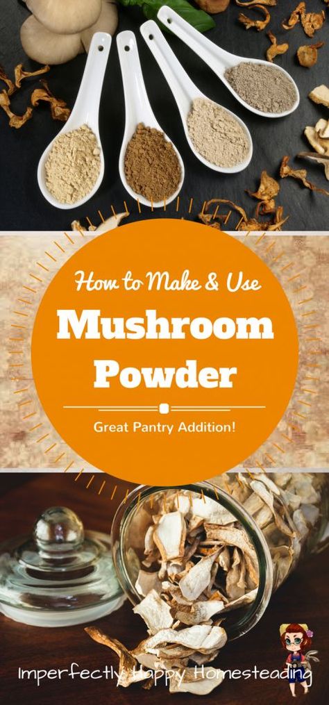 How to Make and Use Mushroom Powder - a Wonderful Addition to Your Pantry and Recipes! Dehydrate Mushrooms, Dehydrated Mushrooms, Recipe Mushroom, Seasoning Recipe, Mushroom Powder, Dried Mushrooms, Powder Recipe, Homemade Seasonings, Dehydrated Food