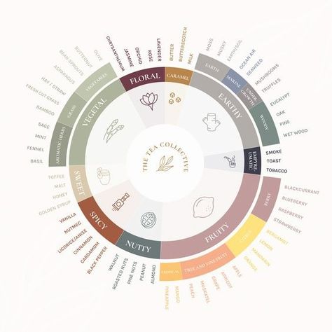 Tea Pairings Chart, Tea Business Ideas, Food Wheel, Tea Knowledge, Tea Sommelier, Tea Pairings, Flavor Wheel, Tea Infographic, Tea Journal