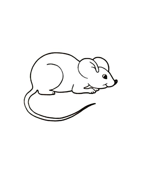 Free Printable Mouse Coloring Pages For Kids Mouse Template Printables, Divlje Zivotinje, Mouse Template, Lion And The Mouse, Mouse Paint, Mouse Drawing, Mouse Crafts, Mouse Color, Pokemon Coloring