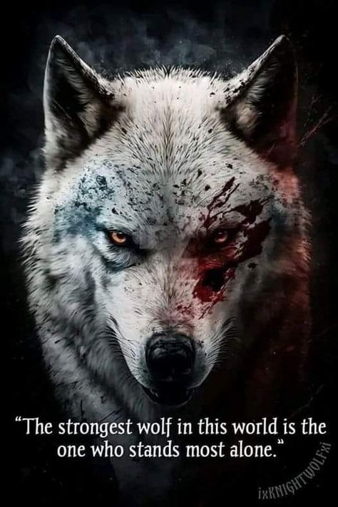 Wolf Pack Quotes, Lone Wolf Quotes, Villain Quote, Wolf Quotes, Man Up Quotes, Savage Quotes, She Wolf, Warrior Quotes, Insightful Quotes