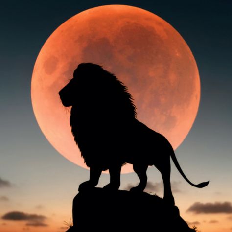 Lion king, full red moon, silhouette wallpaper, hd image, picture, background, 5bce02 | wallpapersmug Wallpaper Lion King, Wallpaper Lion, Wallpapers Ipad, Moon Silhouette, Phone Android, Lion Wallpaper, Ipad Wallpapers, Wallpapers Iphone, Iphone Wallpapers