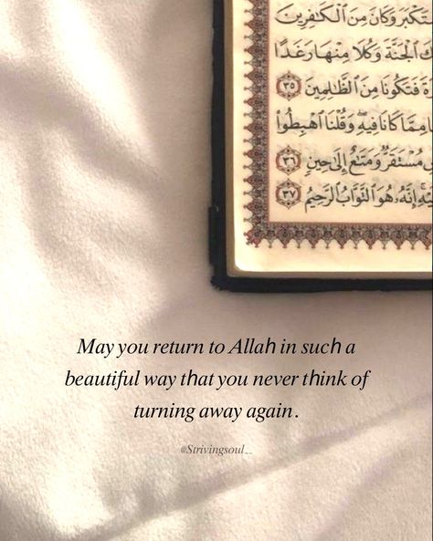 Aesthetic Quran, Aesthetic Islamic, Islam Aesthetic, Short Islamic Quotes, Pray Quotes, Self Healing Quotes, Love In Islam, Islamic Quotes Wallpaper, Muslim Book