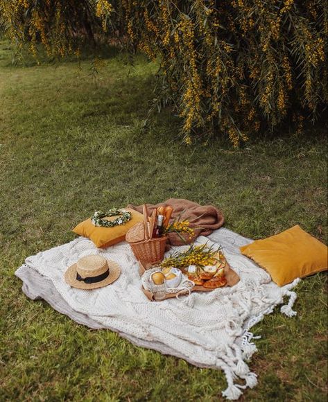 Picnic Photo Shoot, Picnic Photography, Picnic Engagement, Birthday Painting, Picnic Theme, Picnic Inspiration, Picnic Decorations, Party Photoshoot, Picnic Birthday