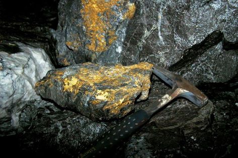 Inhospitable climate fosters gold ore formation | Geology IN Mining Aesthetic, Gold Ore, Gold Deposit, Diamond Mine, Desert Aesthetic, Trans Art, Gold Prospecting, Red Lake, Technology Industry