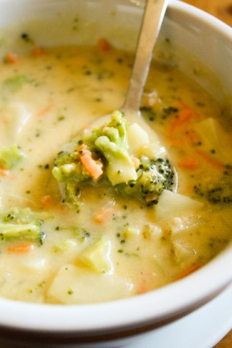 Cheesy Vegetable Chowder - Lulu the Baker Cheddar Vegetable Soup, Veggie Cheese Soup, Cheesy Vegetable Chowder, Veggie Chowder Soup, Vegetable Chowder Soup, Cheesy Vegetable Soup, Favorite Dinner Recipes, Vegetable Chowder, Cheesy Vegetable