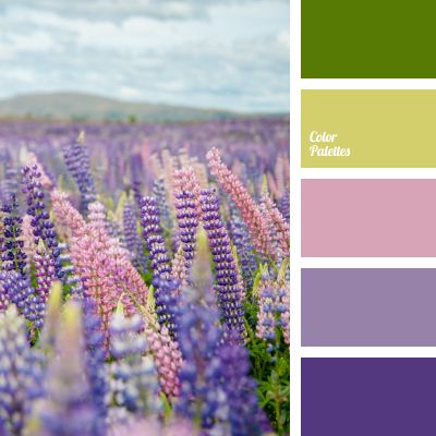 Violet Color Palette, In Color Balance, Color Palette Ideas, Wall Living Room, Grape Color, Color Palette Challenge, Color Schemes Colour Palettes, Palette Ideas, Warm Palette