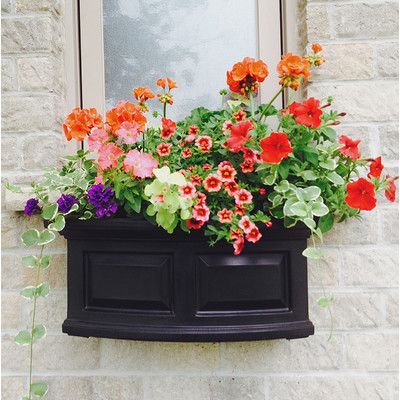 Wheelbarrow Planter, Plastic Planter Boxes, Plant Window, Railing Planters, Window Box Flowers, Window Planters, Plastic Window, Window Planter Boxes, Garden Windows