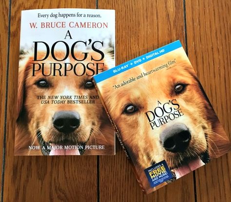 Enter to #win a copy of the film A Dog's Purpose on Blu-ray/DVD as well a copy of the book the film is based on. The #giveaway ends on May 14, 2017 Luke Kirby, A Dog's Purpose, Peggy Lipton, A Dogs Purpose, Dennis Quaid, Britt Robertson, Kj Apa, Summer Books, Dog People