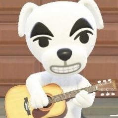 Quinn Animal Crossing, Animal Crossing Playlist Cover, K.k. Animal Crossing, Kk Animal Crossing, Kk Slider Icon, Kk Slider, Animal Crossing Pfp, Emotional Support Animal, Animal Crossing Funny