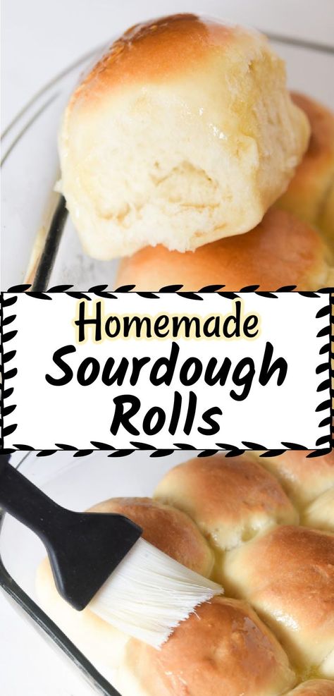 No dinner is complete without rolls! This recipe will help you whip up fluffy, sourdough rolls. Sourdough Dinner Rolls, Recipe Using Sourdough Starter, Sourdough Rolls, Frozen Rolls, Sourdough Starter Discard Recipe, Homemade Sourdough Bread, Homemade Rolls, Homemade Sourdough, Sourdough Starter Recipe