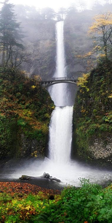 An autumn day at Multnomah Falls in the Columbia River Gorge near Portland, Oregon • photo: John Carleton on Flickr Gorge Oregon, Natural Waterfalls, Oregon Waterfalls, Waterfall Landscape, Multnomah Falls, Columbia River Gorge, 수채화 그림, Columbia River, Beautiful Waterfalls