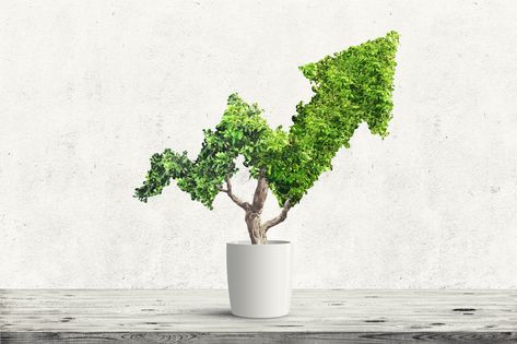 Want a Green Portfolio? Buy These 3 ESG Growth Stocks  The Motley Fool Stock Market Basics, Future Energy, Money Market Account, Best Travel Credit Cards, Life Insurance Companies, Travel Credit Cards, Business Credit Cards, Best Credit Cards, Investing In Stocks