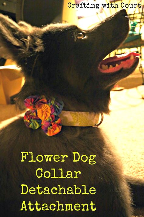 Crafting with Court: Flower Dog Collar Detachable Attachment Pet Accessories Diy, Flower Dog Collar, Collar Detachable, Diy Dog Collar, Collars Diy, Flower Collar, Flower Dog, Fancy Dog, Dog Flower Collar