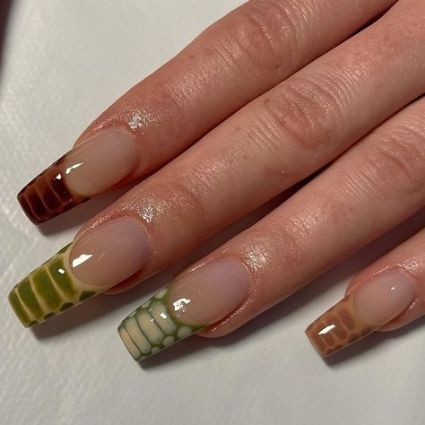 Crocodile Nails Brown, Snake French Tip Nails, Green Croc Nails, Cottage Nails, Snake Skin Nails Designs, Green And Brown Nails, Snake Skin Nails, Nails Care, Skin Nails