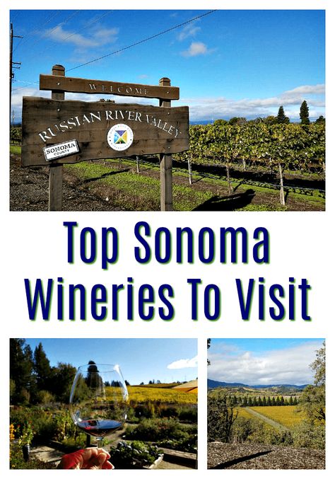 Top Sonoma Wineries To Visit | Discover all the beauty and wines that Sonoma County California has to offer.  Here are five amazing wineries to visit in Sonoma. | Food Wine Sunshine via @foodwinesun Wine Tasting Guide, Napa Valley Vineyards, Napa Trip, Napa Valley Trip, Sonoma Wineries, Wine Country Travel, Sonoma County California, Yosemite Park, California Trip