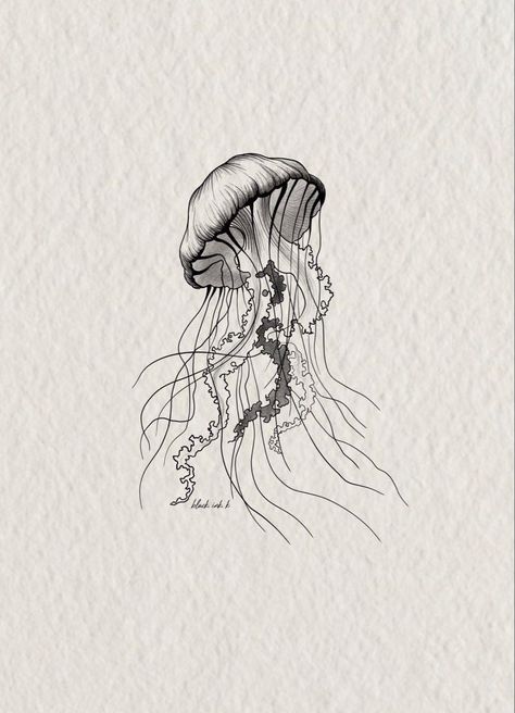 Jellyfish Tattoo On Back, Medusa Jellyfish Tattoo, Lions Mane Jellyfish Tattoo, Black Jellyfish Tattoo, Jellyfish Tattoo Forearm, Space Jellyfish Tattoo, Jellyfish Ink Drawing, Mushroom Jellyfish Tattoo, Jelly Fish Tattoo Stencil