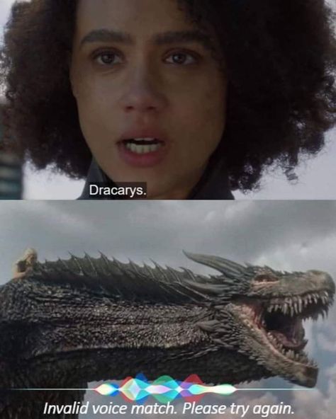 Game Of Thrones Pictures, Game Of Thrones Images, Drogon Game Of Thrones, Game Of Thrones Meme, Game Of Thrones Facts, Game Of Thrones Artwork, Got Game Of Thrones, Game Of Thrones Quotes, Fire And Blood