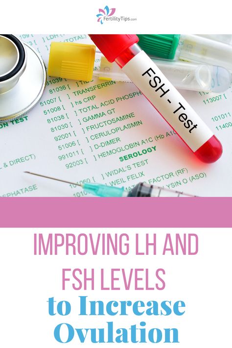 When it comes to fertility hormones, there’s a number of factors that can come into play but maintaining follicle stimulating hormone (FSH) levels and luteinizing hormone (LH) levels can play an important role in regulating ovulation. Click here to learn more about these hormones and how they impact ovulation and find out what you can do to naturally balance their levels. Increase Lh Hormone, Low Fsh Hormone, How To Boost Fertility Naturally, How To Ovulate Regularly, Leutal Phase, Boost Fertility Naturally, Follicle Stimulating Hormone, Fertility Health, How To Regulate Hormones