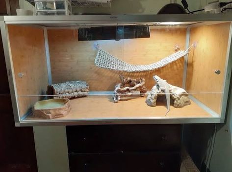 10 DIY Reptile Enclosure Plans You Can Diy Easily Diy Reptile Enclosure, Cheap Terrarium, Diy Patio Furniture Cushions, Bearded Dragon Setup, Diy Bearded Dragon Enclosure, Dragon Enclosure, Bearded Dragon Vivarium, Bearded Dragon Terrarium Ideas, Dragon Terrarium