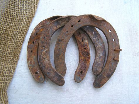 Rusty Horseshoes at MeshuMaSH Western Bar Decor, Steampunk Images, Western Bar, Decor Western, Barn Decor, Man Cave Gifts, Farm Barn, Luck Charm, Luck Charms