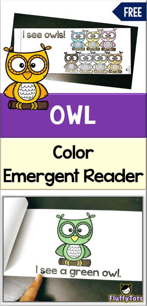 FREE Owl Color Emergent Reader | This LOW PREP emergent reader introduces 11 color words. Perfect for read aloud for toddlers, and great for preschool and preK learning about color words. Owl Literacy Preschool, Owl Unit Kindergarten, Owl Activities For Kindergarten, Owls Preschool Activities, Owl Preschool Activities, Owl Activities For Preschool, Owl Kindergarten, Owls Preschool, Sped Preschool