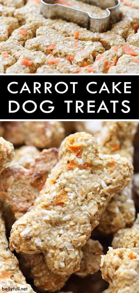 These easy Homemade Dog Treats are made with some of your favorite carrot cake ingredients, but healthy for your fur baby! #dogtreats #dogtreatshomemade #dogtreatshomemadeeasy #homemadedogtreats Savory Dog Treats Recipe, Mini Dog Treats Homemade, Cream Cheese Dog Treats, Dog Treats Without Eggs, Winter Dog Treats Homemade, Safe Homemade Dog Treats, Hemp Dog Treats, Non Refrigerated Dog Treats Recipes, Diy Dog Treats Easy No Bake