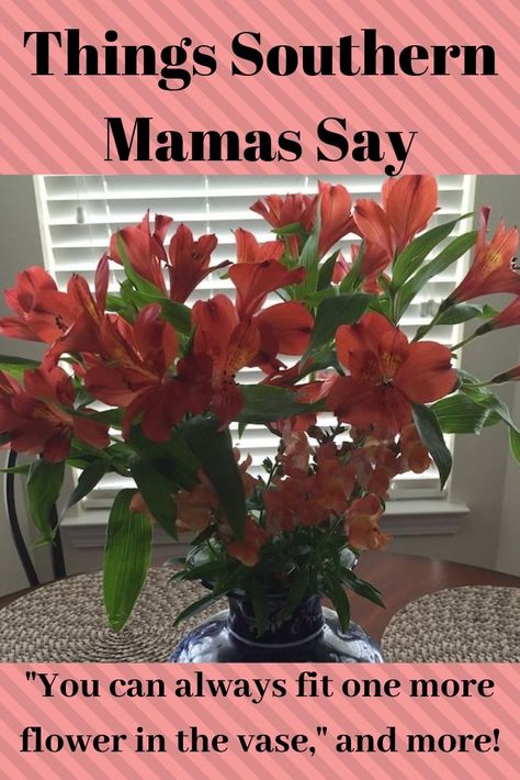 If you have a southern mama, you've heard most, if not all, of these sayings. And if you're from the North, you'll probably get a kick out of them.  #BlessHerHeart #southern #south #southernmamas #quotes #mothers #grandmothers #deepsouth #sayings #sotrue #words #funny Southern Vintage Aesthetic, Southern Momma Quotes, Southern Expressions, Southern Mama, White Floral Centerpieces, Slow Cooker Pork Chops, Ground Beef Dishes, Southern Lifestyle, Southern Sayings