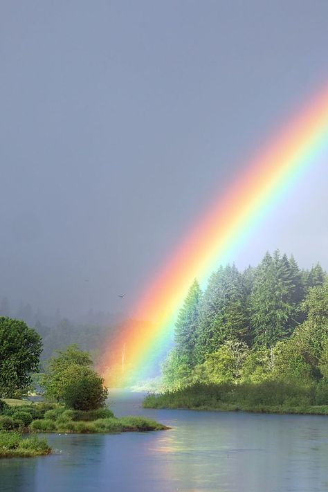 Happiness! Rainbow Photography Nature, Rainbow Photography, Terra Nova, God's Promise, Rainbow Sky, Cool Backgrounds Wallpapers, Happy St Patricks Day, Cool Backgrounds, Over The Rainbow