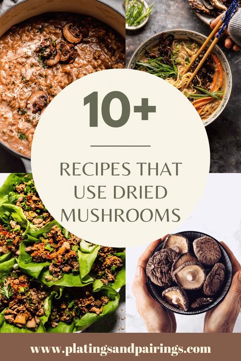 10+ Dried Mushroom Recipes (How to Use Them) - Platings + Pairings Mushroom Soup Dried Mushrooms, Dehydrated Mushrooms Using, Recipes With Dried Shitake Mushrooms, How To Use Dehydrated Mushrooms, Dried Morel Recipes, Shitake Mushroom Recipes Dinners, How To Use Dried Mushrooms, Dried Mushrooms Using, Dried Mushroom Soup Recipes