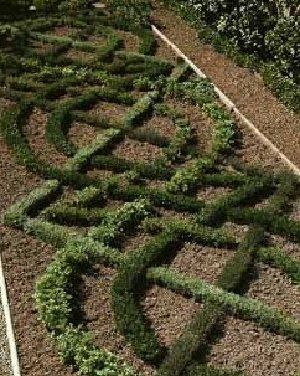 In my dreams!! an herb knot garden , amazing Herb Garden Layout, Gaia's Garden, Herb Basket, Celtic Garden, Dali Lama, Knot Garden, Witch's Garden, Preserving Herbs, Mountain Mama