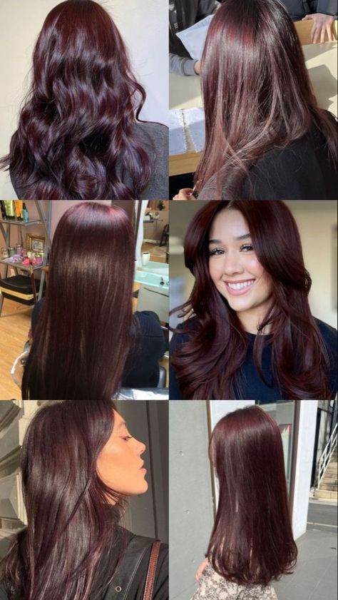 Pretty Ways To Dye Your Hair, Magohany Hair Color, Light Highlights In Dark Hair, Hair Inspo Color Peekaboo, Professional Dyed Hair, Brown Red Hair Color Curly, Dark Hair To Red Hair Before And After, Fall Hair For Pale Skin Green Eyes, Dark Cherry Wine Hair Color