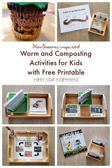 Montessori-inspired Worm and Composting Activities for Kids with Free Printable Herman The Worm Activities, Compost Activities For Preschool, Composting For Kids Activities, Worm Weather Book Activities, Compost Activities For Kids, Worm Activities For Kids, Compost Activities, Worm Activities, Montessori Elementary Activities