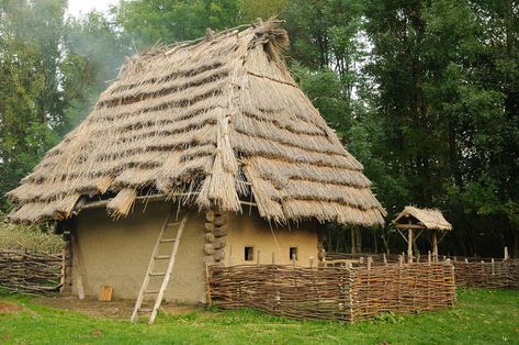 Medieval house with straw roof. Primitive medieval clayey house with straw roof , #Aff, #straw, #house, #Medieval, #roof, #clayey #ad Straw Roof House, Indiana Farmhouse, Medieval Farmhouse, Dollhouse Castle, Mead Hall, Straw House, Three Little Pigs Story, Straw Roof, Three Pigs