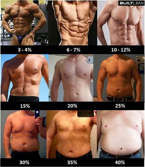 Body type male Body Fat Percentage Men, Transformation Du Corps, Sixpack Workout, Nutrition Sportive, Body Fat Percentage, Bodybuilding Workout, Health Knowledge, Motivation Fitness, Bodybuilding Motivation