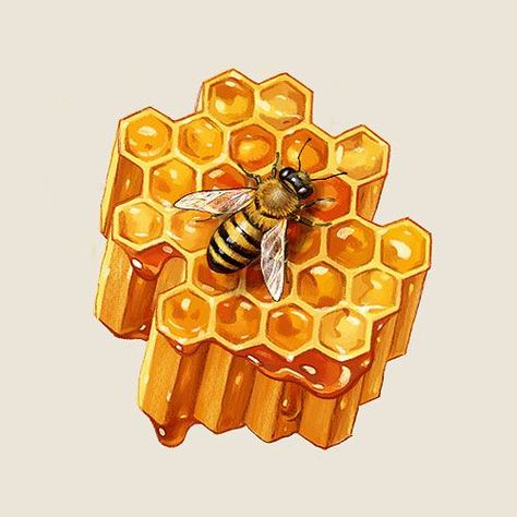 Honeycombs Drawings, Honey Bee Drawing, Honey Bee Sticker, Honey Art, Natural Form Art, Tatoo Inspiration, Bee Drawing, Painted Pots Diy, School Murals