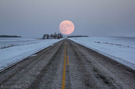 Highway To The Moon by Aaron J. Groen Famous Movie Quotes, In The Middle Of Nowhere, Middle Of Nowhere, Humanity Restored, Film Quotes, Tumblr Quotes, Search Engine Marketing, Nautilus, A Quote