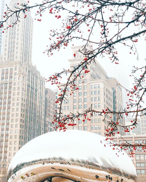 @only_chicago on Instagram: “Foggy Bean ❤️ Tag a friend who loves this beautiful landmark of Chicago!” Chicago Christmas Aesthetic, Chicago Background, Christmas Chicago, Chicago Wallpaper, Chicago Bean, Bean Art, Chicago Christmas, Chicago Vacation, Large Art Print