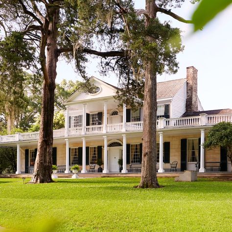 You’ll Want to Book a Stay in One of These Gorgeous Natchez, Mississippi Homes Just to Spend Time on the Porch Mississippi Homes, Corinthian Columns, Natchez Mississippi, Colonial Exterior, Corinthian Column, Country Homes, Grand Homes, Mississippi River, Charleston South Carolina