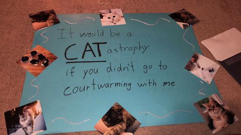 how i’m asking my guy to our courtwarming/sadie hawkins! Cat Hoco Proposal, Cat Promposal, Sadies Proposal, Dance Proposals, Homecoming Signs, Dance Proposal, Sadie Hawkins, My Guy, Hoco Proposals