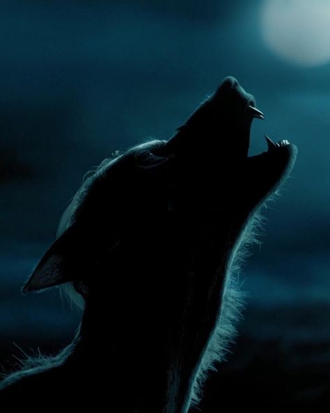 Remus Lupin Werewolf Aesthetic, Werewolf Harry Potter Aesthetic, Professor Lupin Werewolf, Harry Potter Werewolf Art, Remus Lupin Wolf Form, Remus Lupin Werewolf Art, Werewolf Remus Lupin, Werewolf Lupin, Remus Werewolf